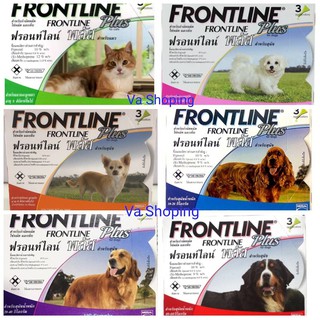 Frontline plus สุนัข-แมว