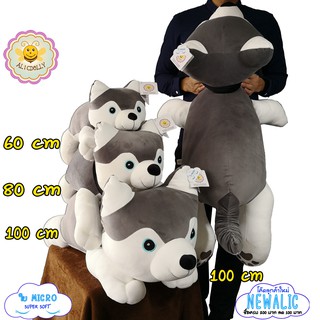 ตุ๊กตา หมาไซบีเรียน ฮัสกี้ 60,80,100 cm ใยไมโคร นุ่มลื่นน่ากอด ทำความสะอาดง่ายซักเครื่องได้ husky dog doll alidolly