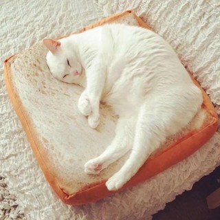 เบาะนอนรูปขนมปัง นุ่มนิ่ม สำหรับรองนั่ง