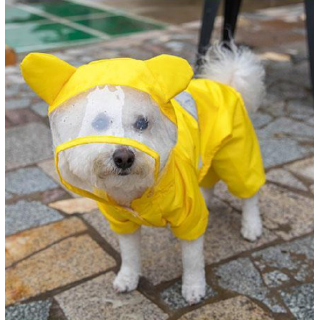 L-pet 🌈เสื้อหมา เสื้อกันฝนสุนัข แบบใส ใส่ง่าย กันฝนได้ดี เสื้อกันฝนสัตว์เลี้ยง