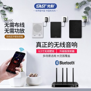 SAST Wireless Bluetooth Ceiling Wall-Mounted Audio Home Indoor Ceiling Speaker Store Wall-Mounted Background Music Dedic