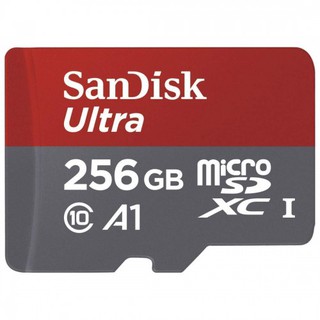 SanDisk Ultra 256 GB Class 10 98mb / S Micro SD ( ^-^ )