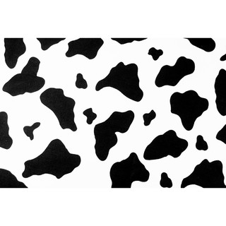 [SALE] 45x55 ซม. ผ้าเมตร ผ้าคอตตอน ผ้าฝ้ายแท้ 100% ลายวัว ดำ ขาว Pure Black & White [PFQ549]
