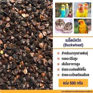 ♠☾❀Nature❀บัควีท Buckwheat อาหารนก ร่อนฝุ่น สะอาด เกรดA (แบ่งขาย 500g.)