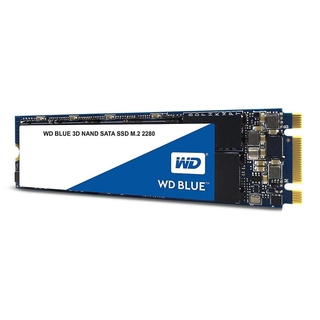 🔥HOT⚡️ 250GB M.2/2280 SSD (เอสเอสดี) WD BLUE 550MB/525MB 3D NAND รับประกัน 5 ปี (WDS250G2B0B)