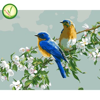 EP-HOME DIY ภาพวาดสีน้ำมัน ภาพระบายสีตามตัวเลข flower bird 4050 unframe
