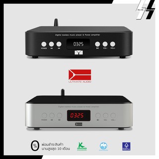 All in One | Audience - P-Amp 65 | Integrated AMP - Headphone AMP - Bluetooth 5.0