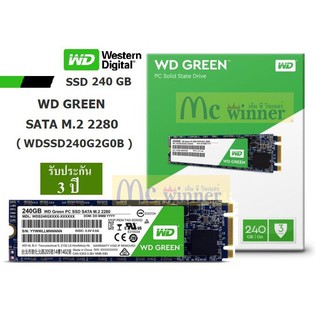 240GB SSD (เอสเอสดี) WD GREEN SATA M.2 2280 R540MB/s R405MB/s - รับประกัน 3 ปี Synnex