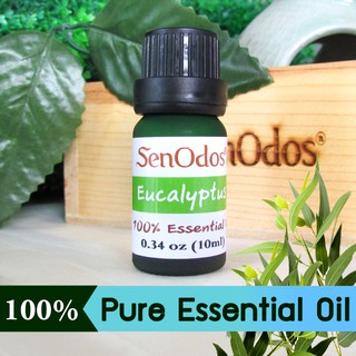 SenOdos น้ำมันหอมระเหยแท้ 100% กลิ่นยูคาลิปตัส น้ำมันนวด น้ำมันสปา หอมอโรม่า Eucalyptus Pure Essential Oils 10 ml.