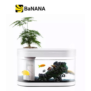 ตู้ปลา Xiaomi Descriptive Geometry Amphibious Ecological Lazy Fish Tank by Banana IT