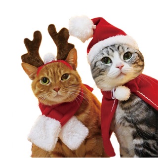 ชุดแฟนซีหมา แมว , ชุดคริสมาส , ชุดซานตาครอส - ชุดหมา แมว กระต่าย