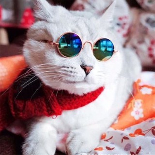 แว่นตาแมว แว่นตาหมา แว่นตาแฟชั่น สำหรับสัตว์เลี้ยง