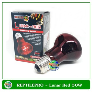 หลอดไฟให้แสงกลางคืนและความร้อนสำหรับสัตว์เลื้อยคลาน REPTILEPRO Lunar-Red Basking Lamp 50W (กล่องสีแดง)