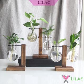 LILAC แจกันแก้ว สำหรับปลูกพืชไฮโดรโปนิก