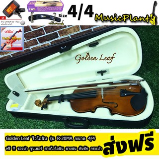 Golden Leaf Violin ไวโอลิน รุ่น R-20MA มีหลายขนาด เลือกไซส์ได้ พร้อม กระเป๋า ที่รองบ่า คันชักไวโอลิน ยางสน สายไวโอลิน
