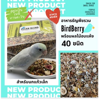 อาหารนกฟอพัส birdberry สูตร clean blend ไม่มีทานตะวัน 1KG ธัญพืชรวมพรีเมียม สำหรับนกแก้วเล็ก