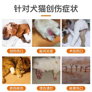 ○Pointe Interdigital Inflammation Wound Healing Hemostatic Trauma Pet Dog Cat Medicine สร้างสเปรย์