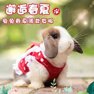 เสื้อกระต่าย กระต่าย เสื้อกระต่ายสัตว์เลี้ยง เสื้อผ้ากระต่าย ชุดกระต่าย ชุดกระต่ายสัตว์เลี้ยง(น้ำหนักหาร2)